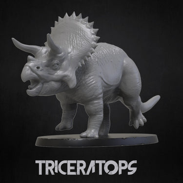 Triceratops